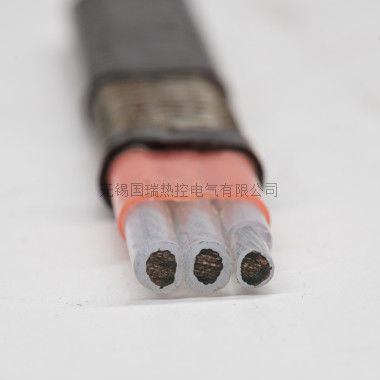 高溫恒功率伴熱帶(可用于儀表)
